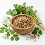 Coriander Seeds