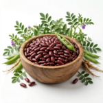 Kidney Beans (Rajma)